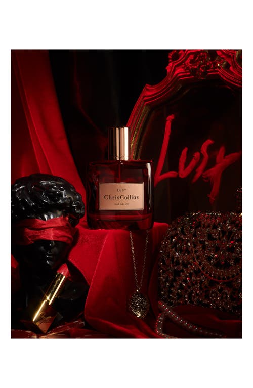 Chris Collins Lust Oud Delice Extrait De Parfum In No Color