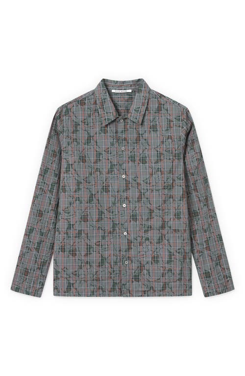 David Swirl Grid Cotton Button-Up Shirt in Dark Green Aop