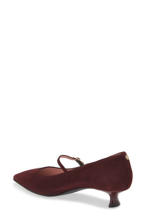 Shop Naot Rosalie Pointed Toe Pump In Burgundy Suede