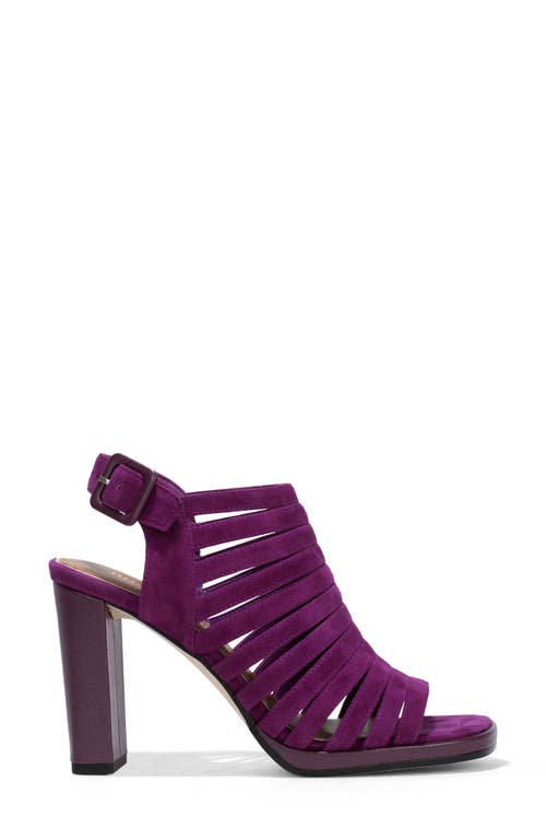 Donald Pliner Sevanna High-heeled Sandal In Iris Purple In Iris