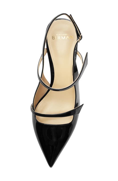 Shop Alexandre Birman Tita Pointed Toe Slingback Pump In Black