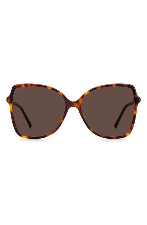 Jimmy Choo Fedes 59mm Square Sunglasses in Havana /Brown at Nordstrom