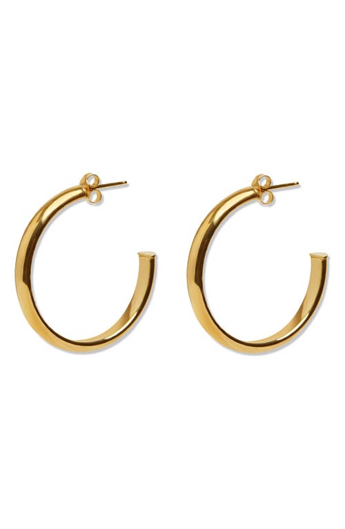 Argento Vivo Sterling Silver Hoop Earrings In Gold