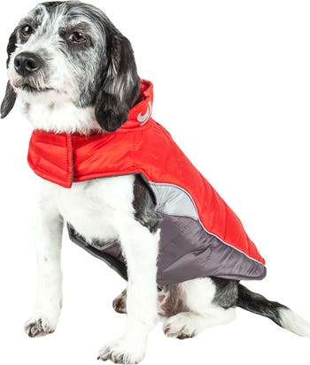 Dog sales helios blizzard