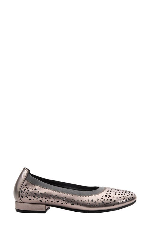 David Tate Laser Cut Ballet Flat In Pewter Calf
