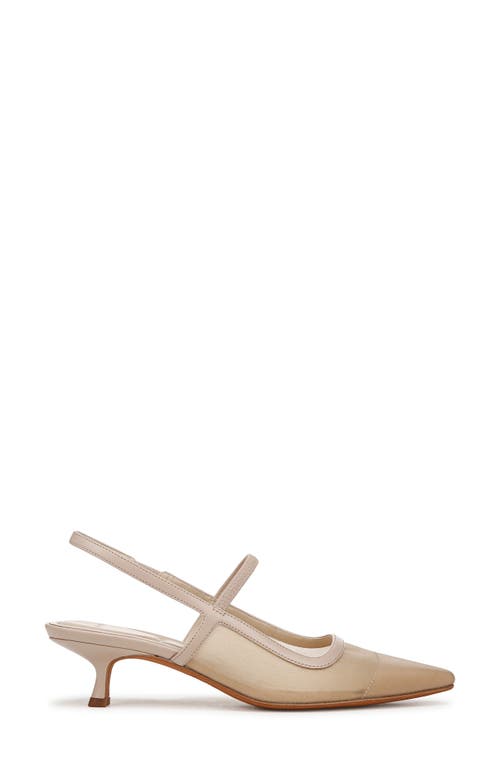 Shop Vince Venice Slingback Pointed Toe Kitten Heel Pump In Birch Sand