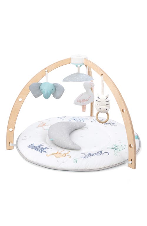 aden + anais Play & Discover Baby Activity Gym in Rising Start
