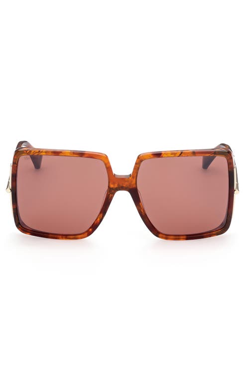 Max Mara 58mm Square Sunglasses in Red Havana /Brown at Nordstrom