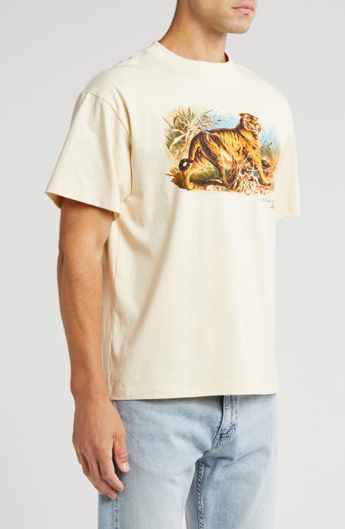 Shop Id Supply Co Tiger Eyes Cotton Graphic T-shirt In Cream