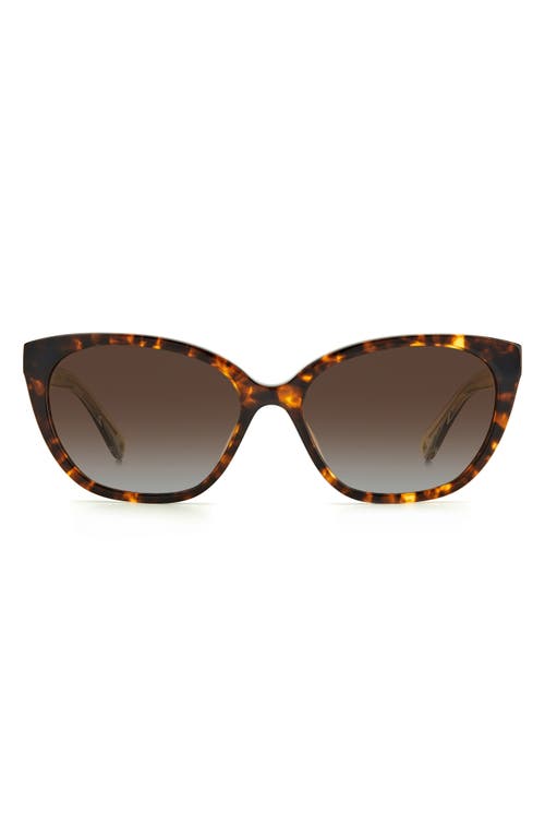 Kate Spade New York Phillipa 54mm Gradient Cat Eye Sunglasses In Havana/brown Sf Polar