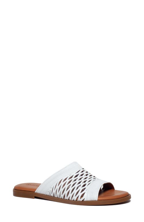 Unity Diversity Teresa Slide Sandal at Nordstrom,