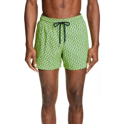 Vilebrequin St. Barth Moorise Swim Trunks, Green