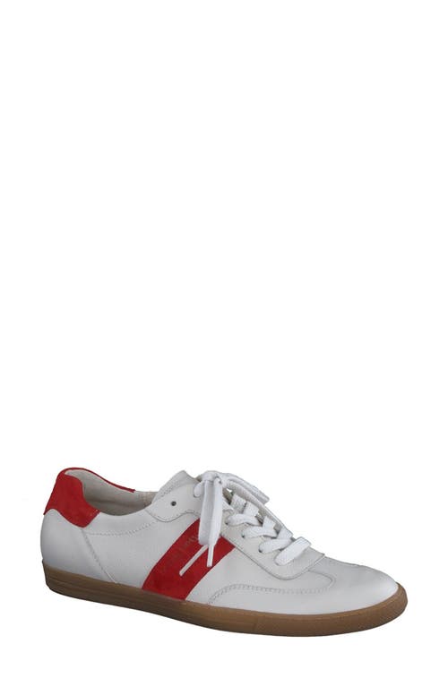 Paul Green Tilly Sneaker at Nordstrom,