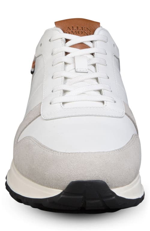 Shop Allen Edmonds Lawson Sneaker In White