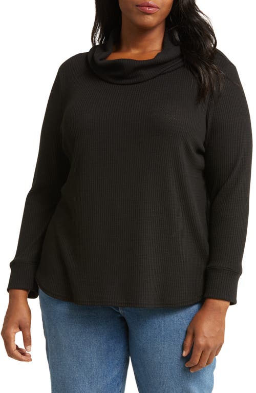 caslon(r) Cowl Neck Waffle Knit Top in Black