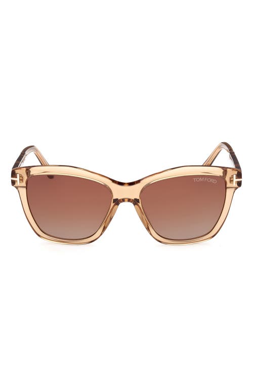 Shop Tom Ford Lucia 54mm Gradient Square Sunglasses In Beige Vintage Havana/brown