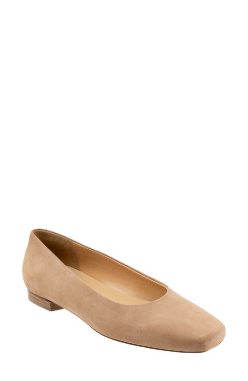 Trotters Honor Flat - Multiple Widths Available Taupe Nubuck at Nordstrom,