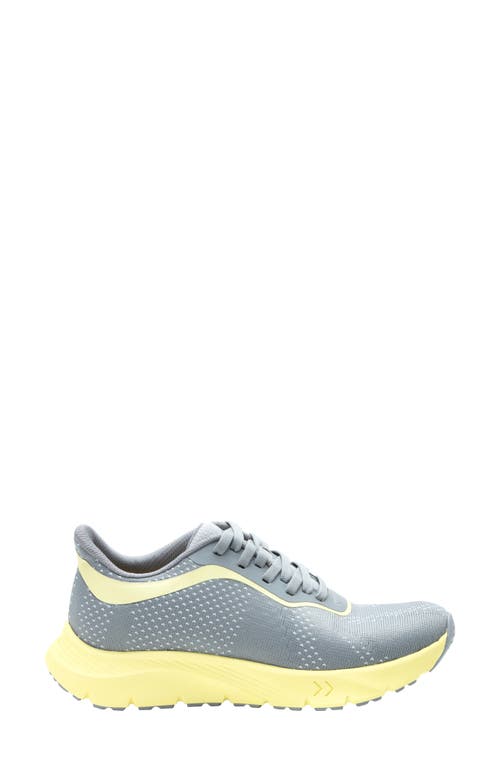 Alegria By Pg Lite Rize Sneaker In Yellow Pop