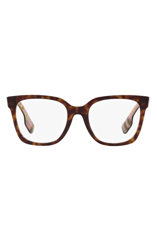 burberry Evelyn 50mm Square Optical Glasses in Dark Havana at Nordstrom