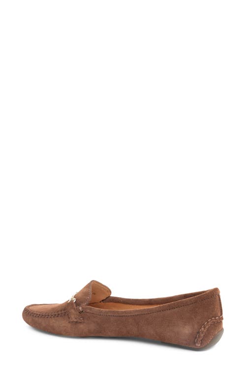 Shop Patricia Green Caroline Moc Toe Bit Loafer In Chocolate Suede