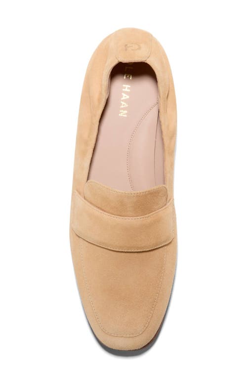 Shop Cole Haan Trinnie Loafer In Buck Wheat