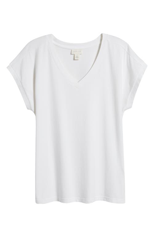 caslon(r) Extended V-Neck T-Shirt in White