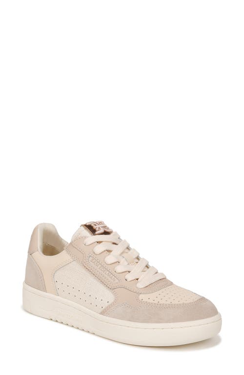 Sam Edelman Harper Sneaker In Almond/limestone/linen