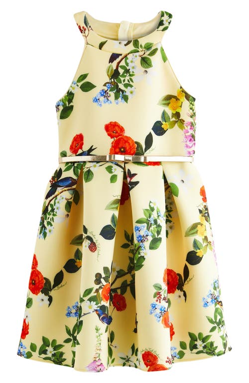 Shop Ted Baker Baker By  Kids' Floral Sleeveless Scuba Dress In Yellow