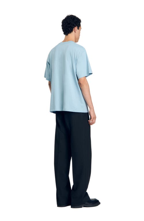 Shop Sandro Oversized Flower T-shirt In Baby Blue