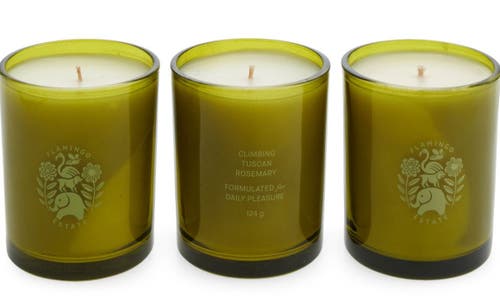 Flamingo Estate Mini Three Sisters Set, 3 X 3.4 Oz. In Multi