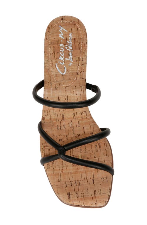 Circus Ny By Sam Edelman Faye Heels In Black