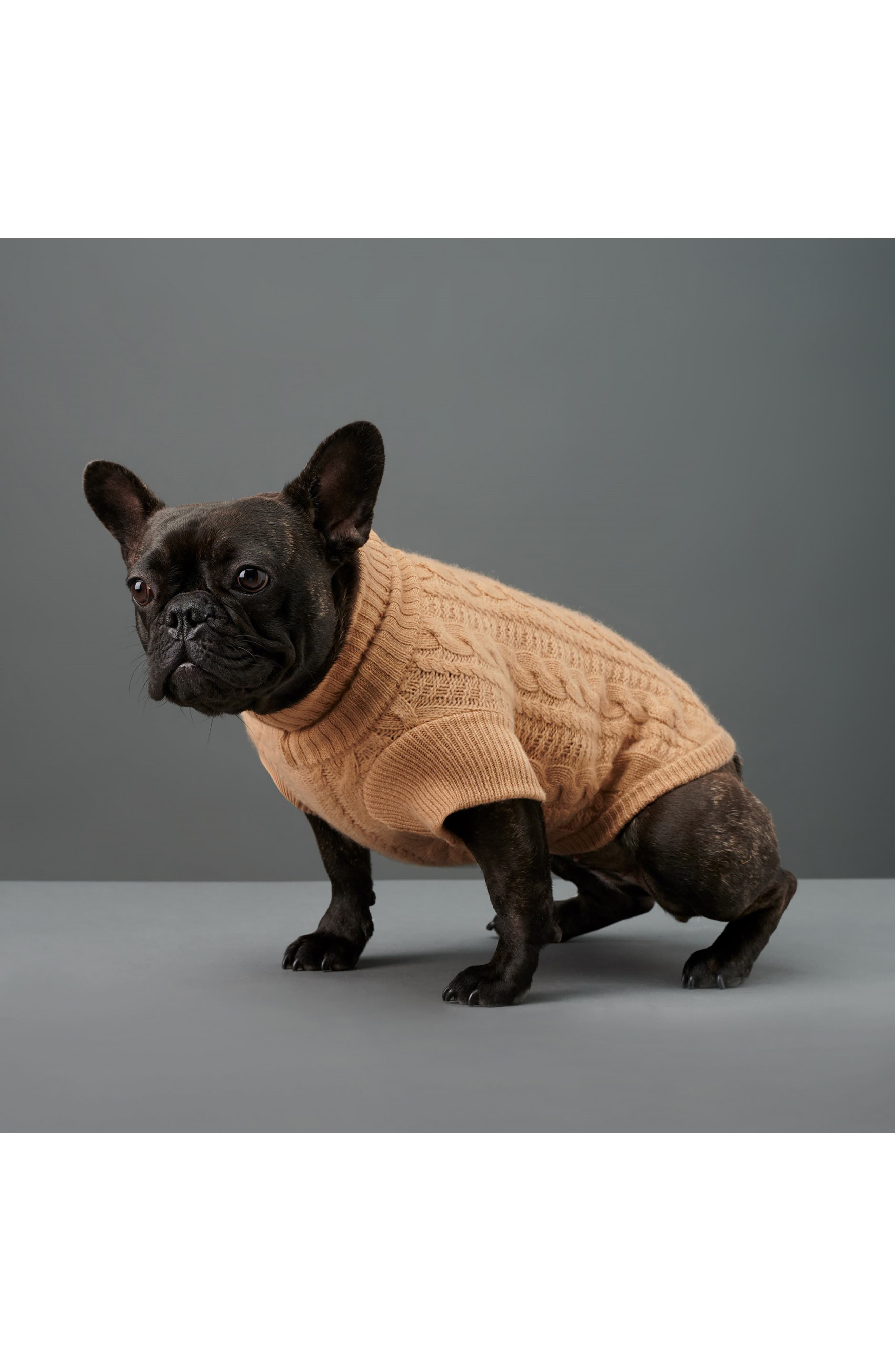 vince dog sweater