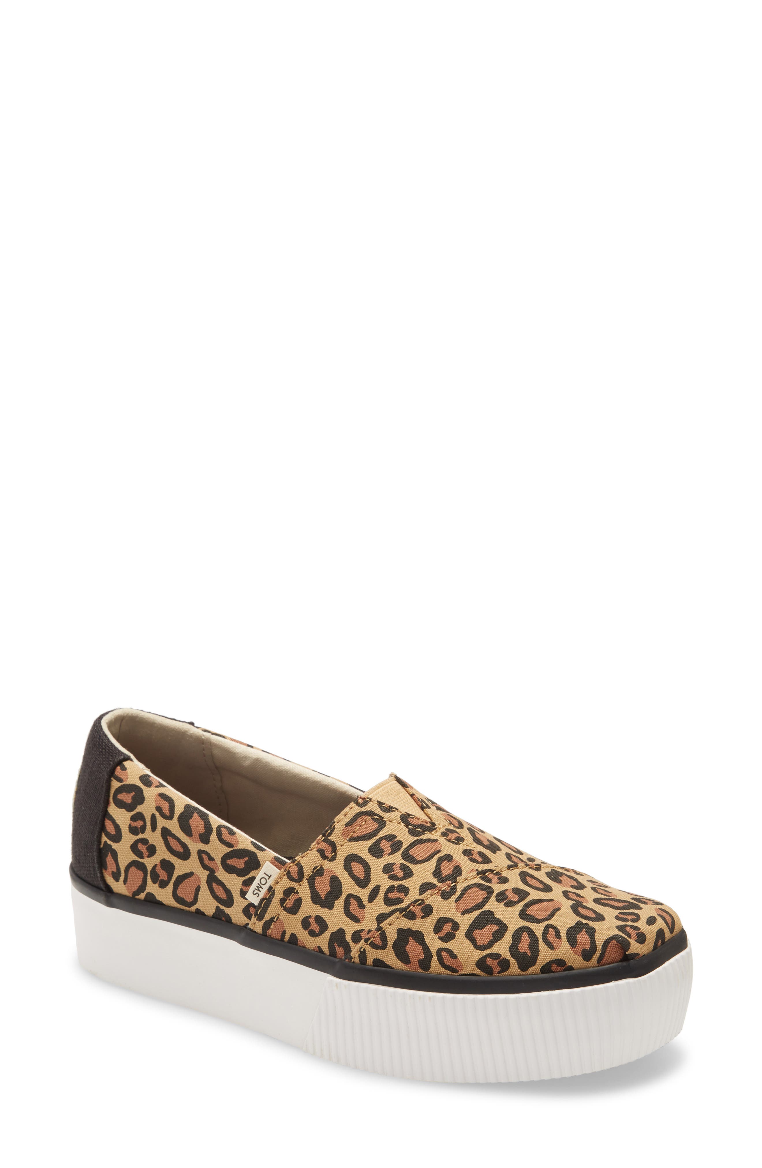 toms leopard sneakers