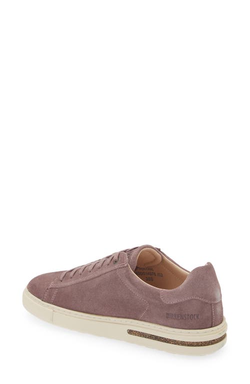 Shop Birkenstock Bend Low Top Sneaker In Faded Purple