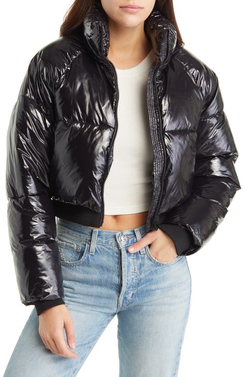 Crop Puffer Jacket in Cold Lover
