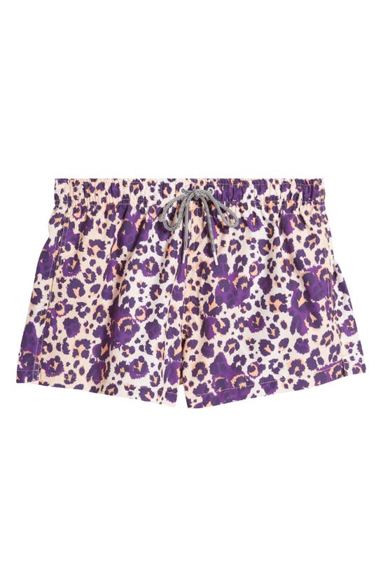 Shop Boardies Cheetah Shortie Swim Trunks In Purple Multi