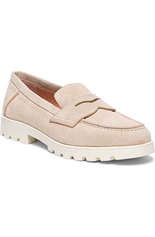 Shop Santoni Beige Nubuck Lugsole Loafer