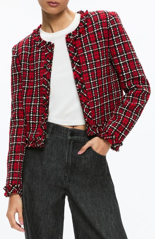 Shop Alice And Olivia Alice + Olivia Tweed Jacket In Schoolgirl Plaid Bright Ruby