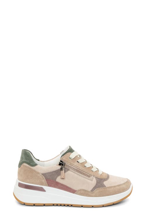 Shop Ara Gardenia Wedge Sneaker In Sand Shell/moon/thyme