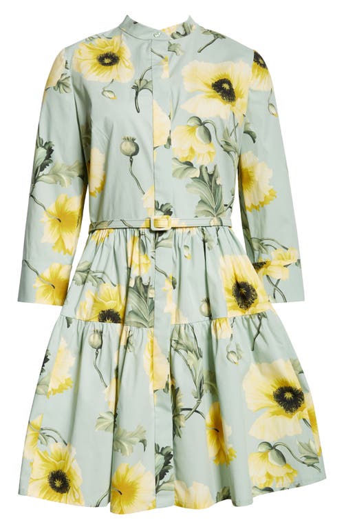 Shop Oscar De La Renta Poppy Print Belted Shirtdress In Sage/yellow