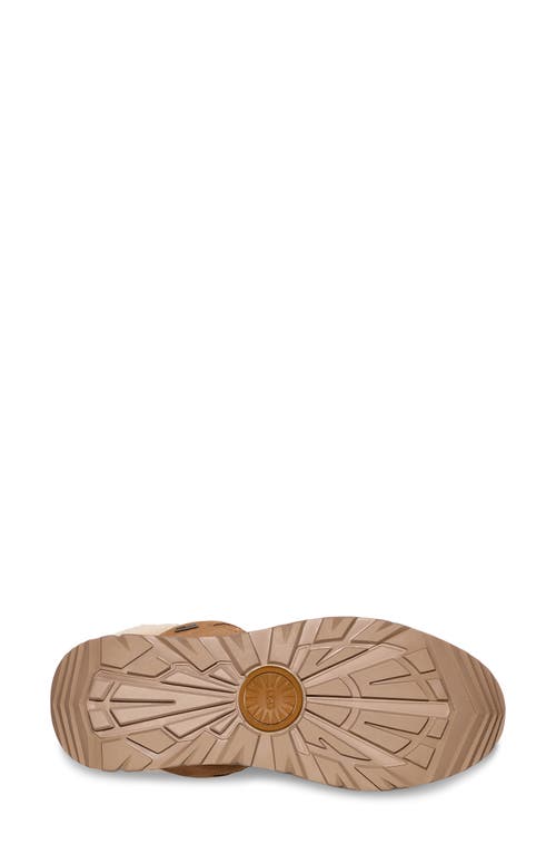 Ugg(r) Terretrail Cozy Winter Boot In Chestnut