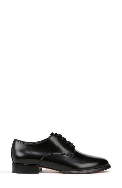 Shop Vince Niko Derby In Black