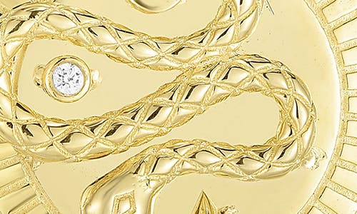 Chloe & Madison Chloe And Madison Cz Snake Coin Pendant Necklace In Gold