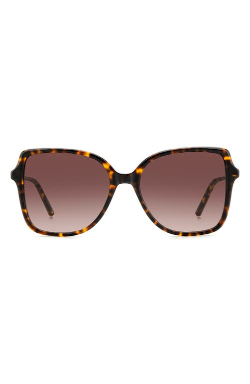 Carolina Herrera 55mm Square Sunglasses In Brown