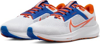 florida gators pegasus