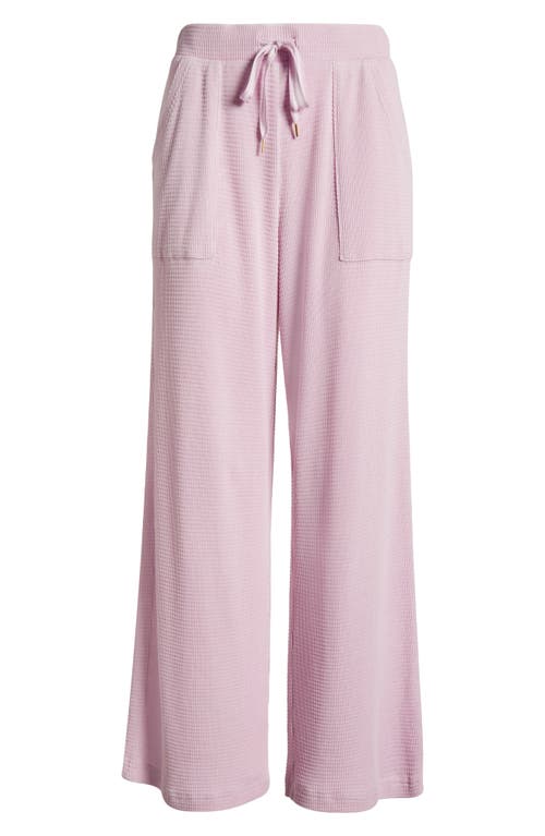 Honeydew Under The Stars Waffle Knit Pajama Pants In Lavender