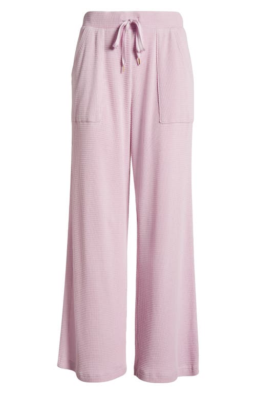 Shop Honeydew Under The Stars Waffle Knit Pajama Pants In Lavender