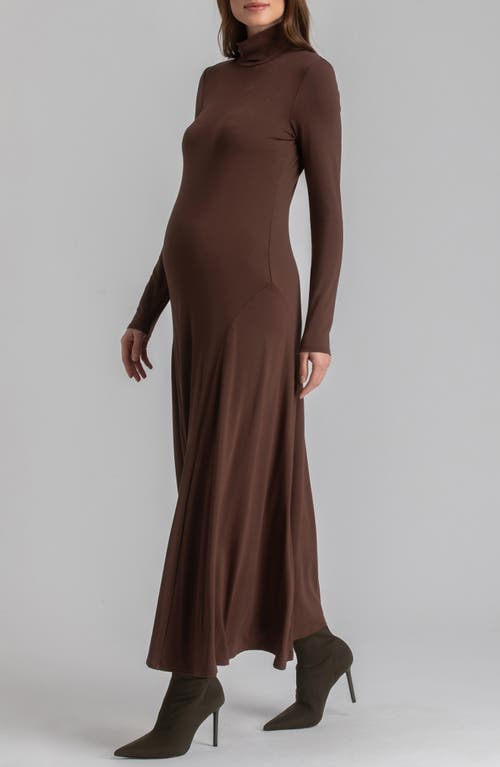 Pietro Brunelli Long Sleeve Jersey Maxi Maternity Dress In Medium Brown