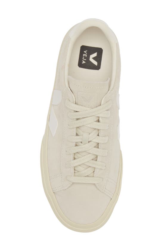 Shop Veja Campo Sneaker In Natural White