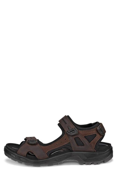 Shop Ecco Yucatan Sandal In Mocha/mocha